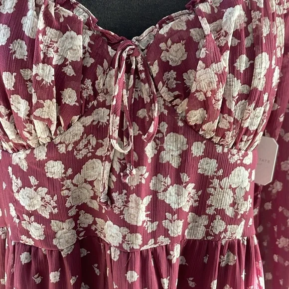 Altar'd State Teresa Floral Long Sleeve Mini Dress - Picture 4 of 11